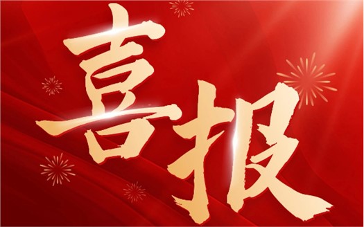 集團(tuán)榮膺2025中國民營企業(yè)500強(qiáng)第249位，制造業(yè)民營企業(yè)500強(qiáng)第177位，排名較去年雙雙大幅提升